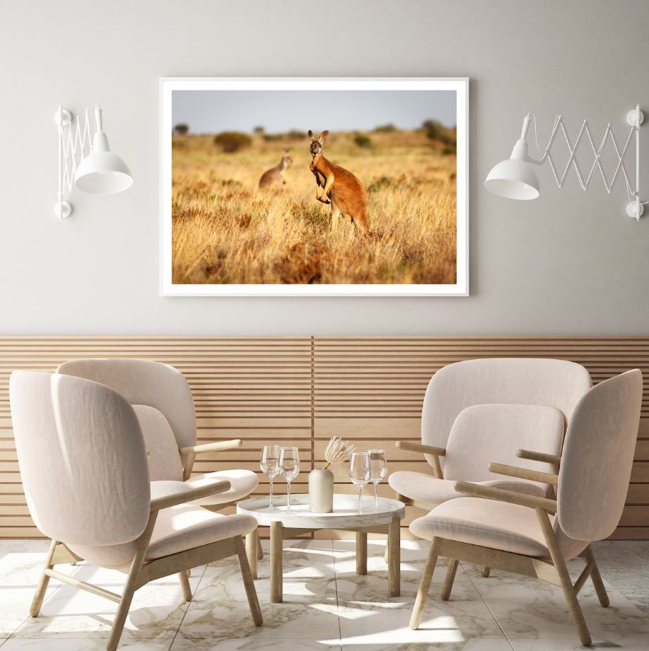 Kangaroo in Grass Field View Home Decor Premium Quality Poster Print Choose Your Sizes