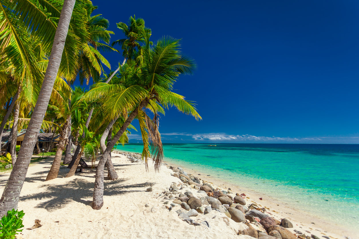 Palm Trees on Beach Sea Scenery Home Decor Premium Quality Poster Print Choose Your Sizes