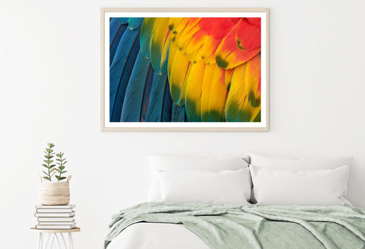 Colorful Bird Feathers Photograph Home Decor Premium Quality Poster Print Choose Your Sizes