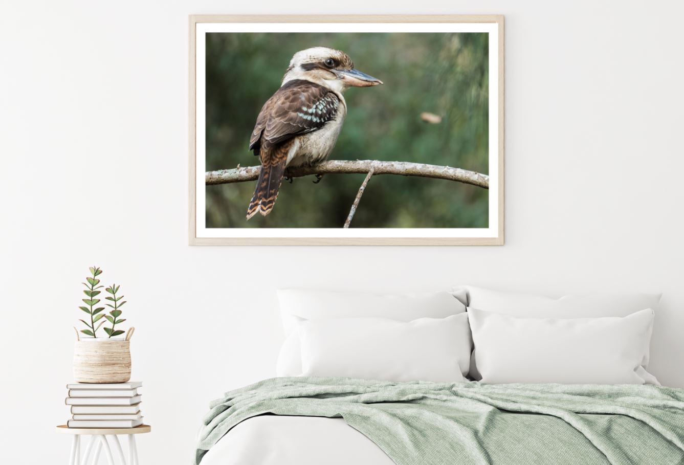 Kookaburra Bird on Tree Closeup Home Decor Premium Quality Poster Print Choose Your Sizes