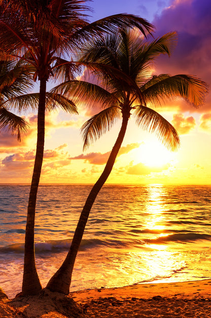 Palm Trees & Sea Sunset Scenery Home Decor Premium Quality Poster Print Choose Your Sizes