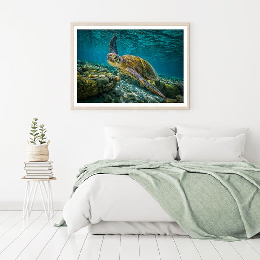 Tutle in Sea Photogrpah Home Decor Premium Quality Poster Print Choose Your Sizes