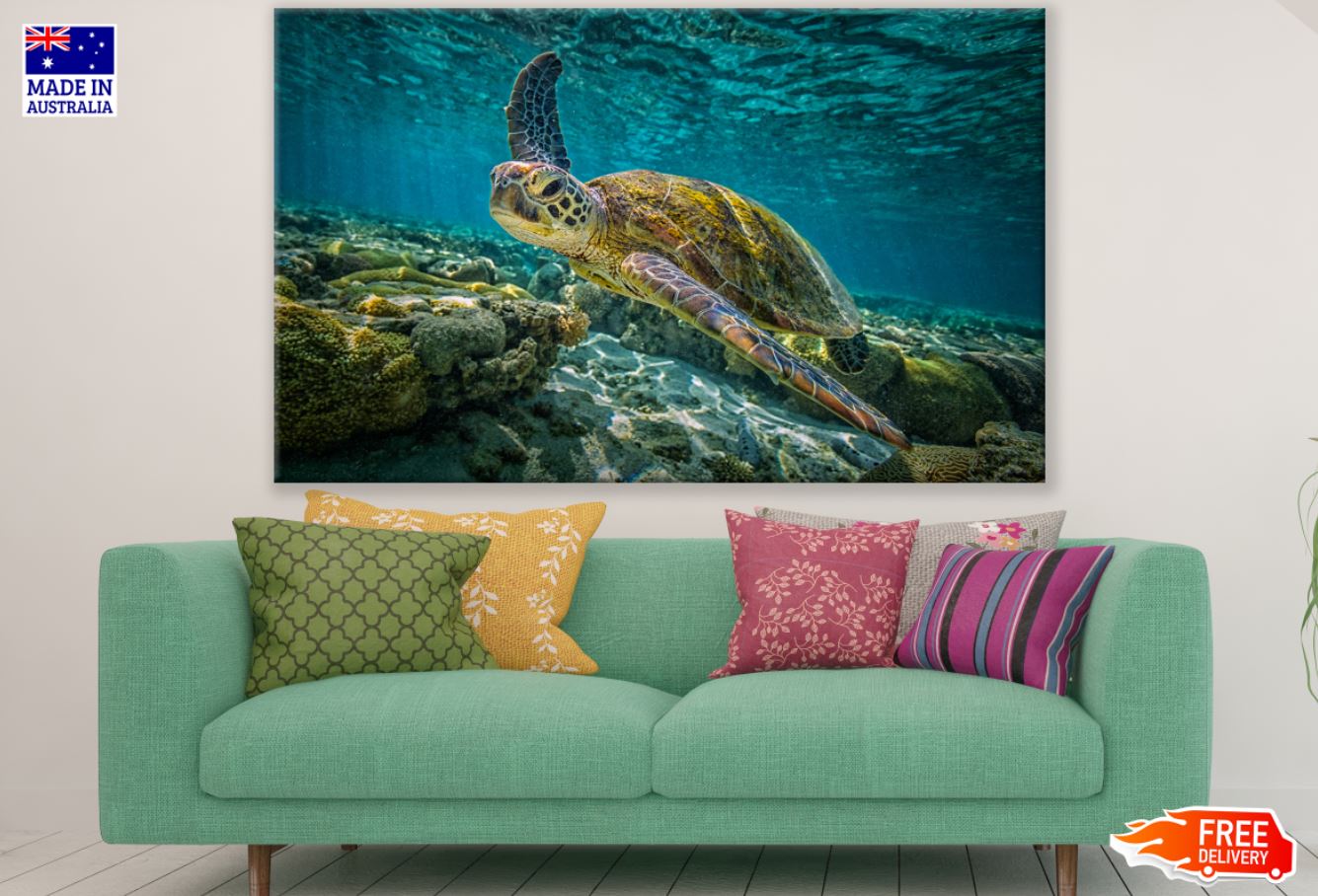 Tutle in Sea Photogrpah Print 100% Australian Made