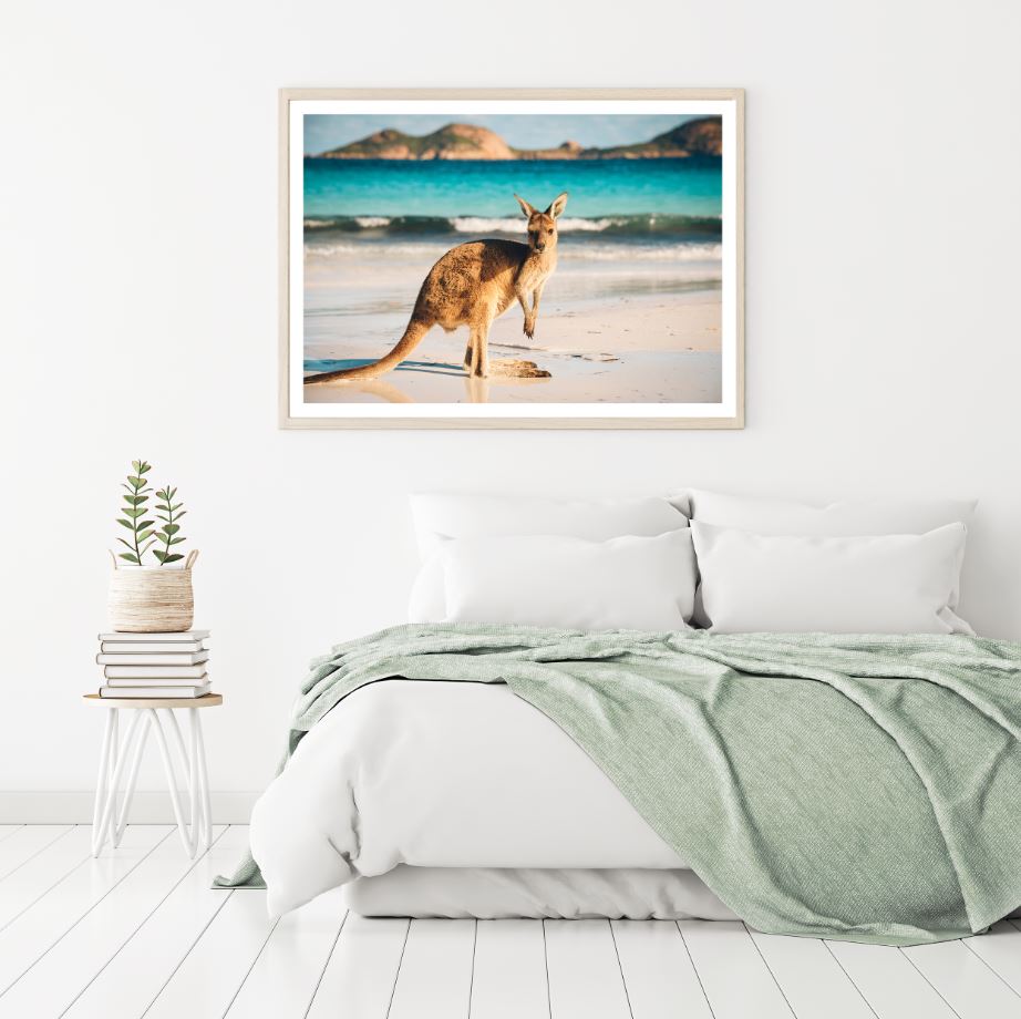 Kangaroo on Beach Photograph Home Decor Premium Quality Poster Print Choose Your Sizes