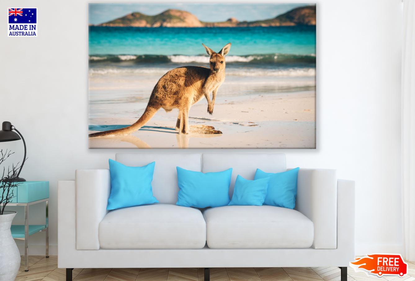 Kangaroo on Beach Photograph Print 100% Australian Made