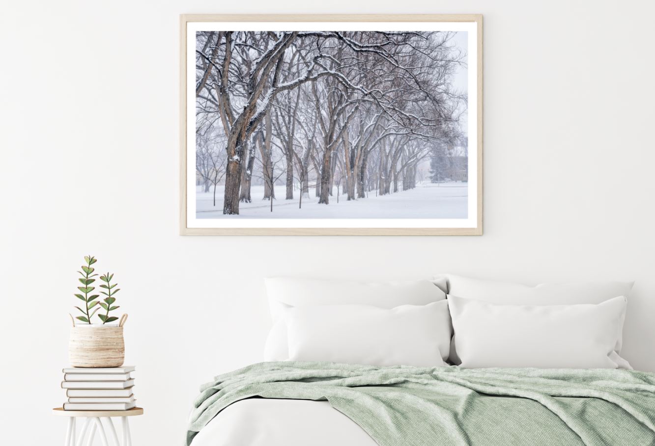 Snow Covered Trees Photograph Home Decor Premium Quality Poster Print Choose Your Sizes