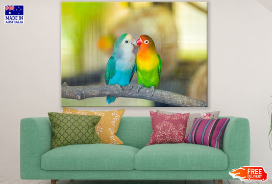 Love Birds Closeup Photograph Print 100% Australian Made