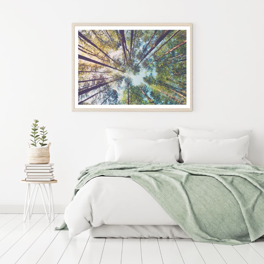 Forest Beneath View Photograph Home Decor Premium Quality Poster Print Choose Your Sizes