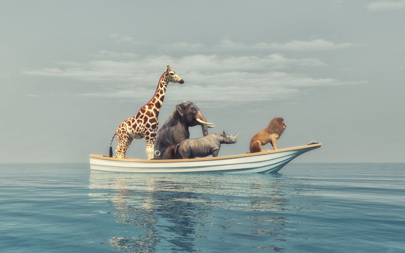 Animals in a Boat on Sea Digital Home Decor Premium Quality Poster Print Choose Your Sizes