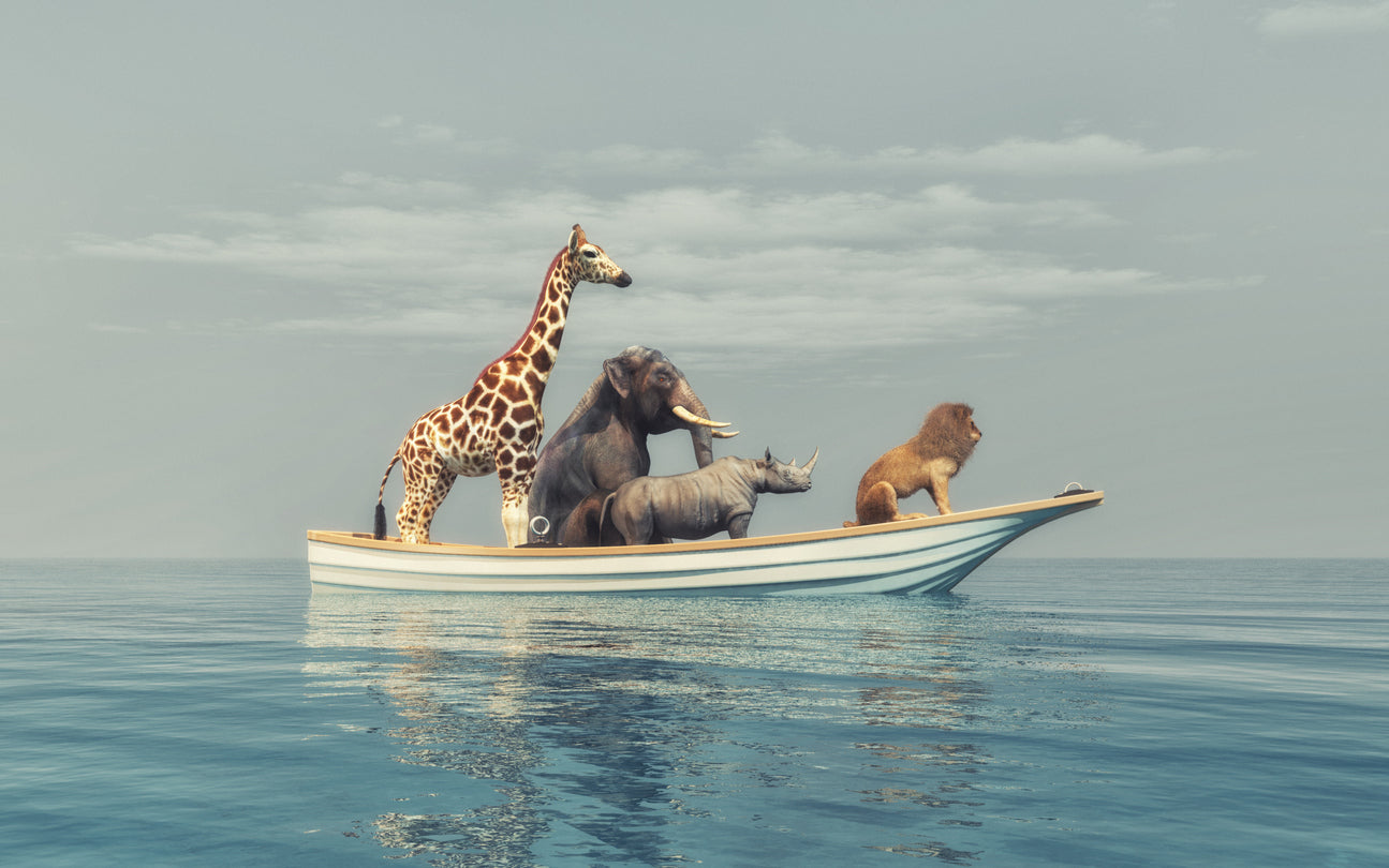 Animals in a Boat on Sea Digital Print 100% Australian Made