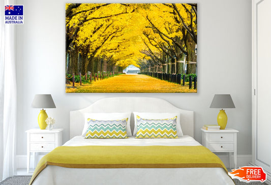 Yellow Flower Tree Road Scenery Print 100% Australian Made