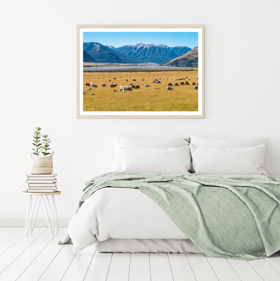 Sheeps on Meadow Photograph Home Decor Premium Quality Poster Print Choose Your Sizes