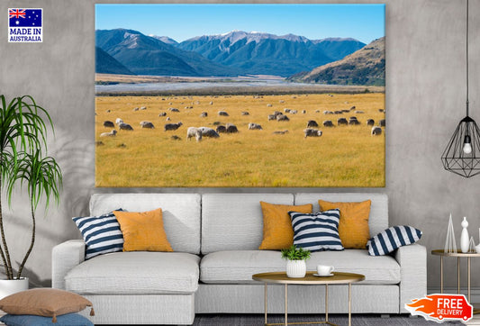 Sheeps on Meadow Photograph Print 100% Australian Made