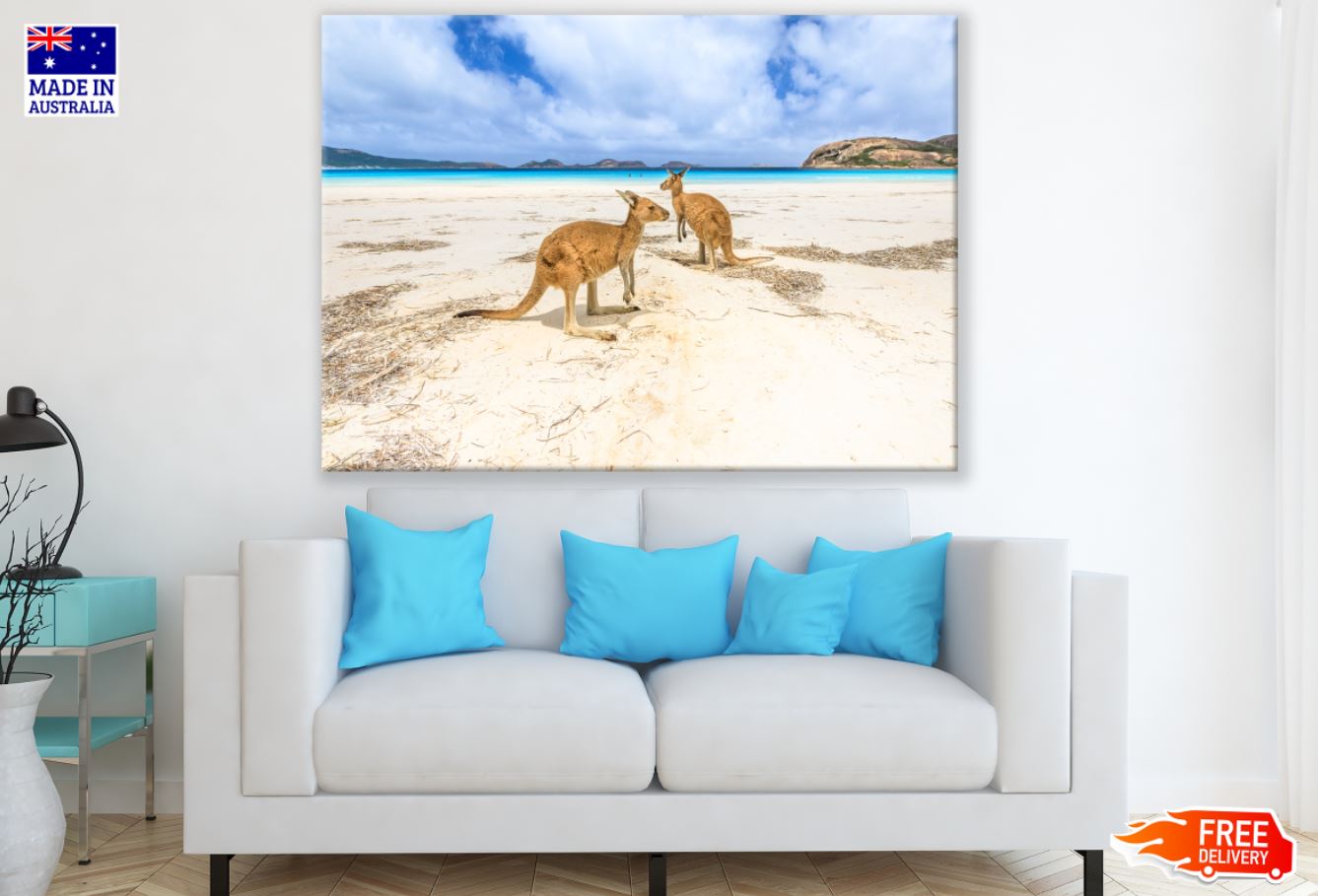 Kangaroos at Sea Shore Photograph Print 100% Australian Made