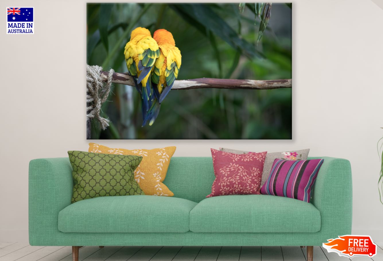 Birds on a Tree Photograph Print 100% Australian Made