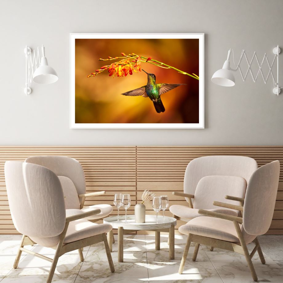 Humming Bird & Flower Photograph Home Decor Premium Quality Poster Print Choose Your Sizes