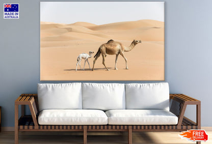 Camels on Desert Photograph Print 100% Australian Made