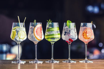 Gin & Tonic Garnishes Photograph Print 100% Australian Made