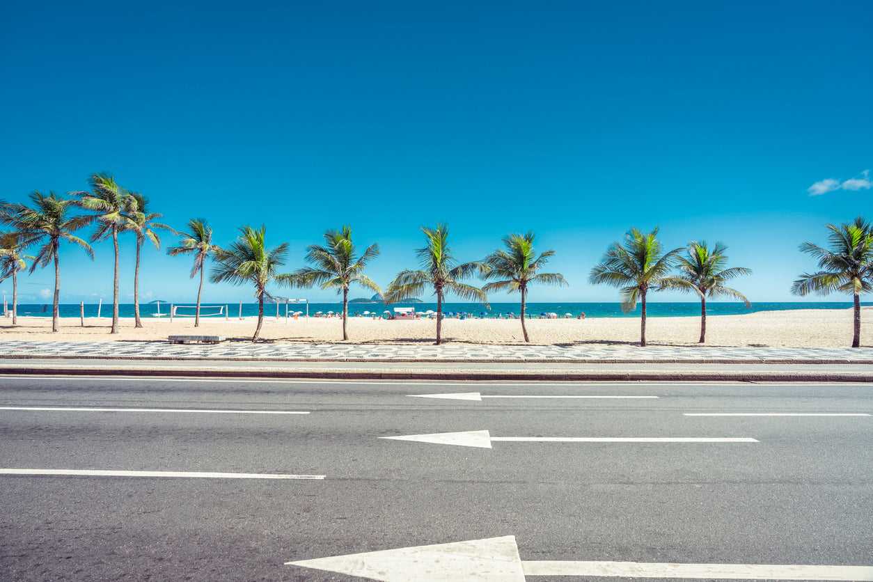 Palm Tree Row Near Sea Photograph Print 100% Australian Made