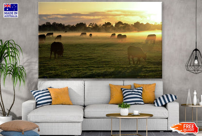 Cow Herd on a Meadow Photograph Print 100% Australian Made