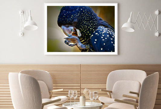 Blue & Yellow Parrot Photograph Home Decor Premium Quality Poster Print Choose Your Sizes