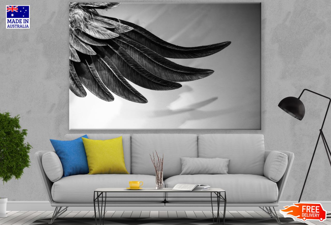 Feathers Closeup B&W Photograph Print 100% Australian Made