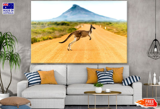 Kangaroo Crossing the Road View Print 100% Australian Made