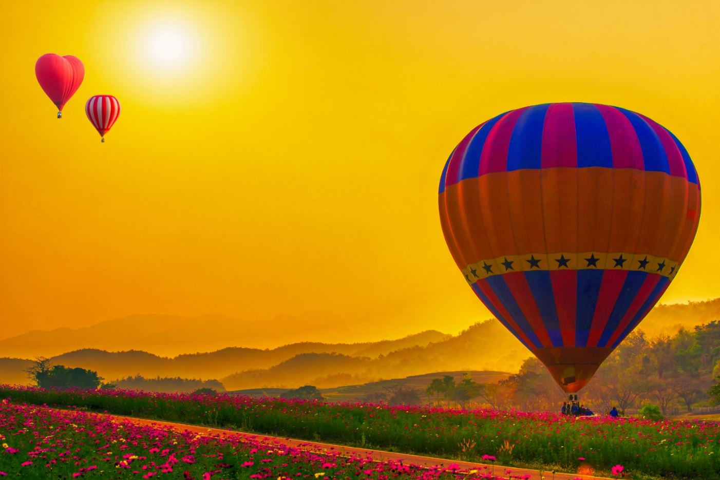 Hot Balloons Over Flower Field Home Decor Premium Quality Poster Print Choose Your Sizes