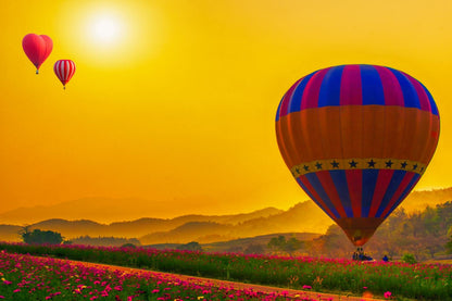 Hot Balloons Over Flower Field Home Decor Premium Quality Poster Print Choose Your Sizes