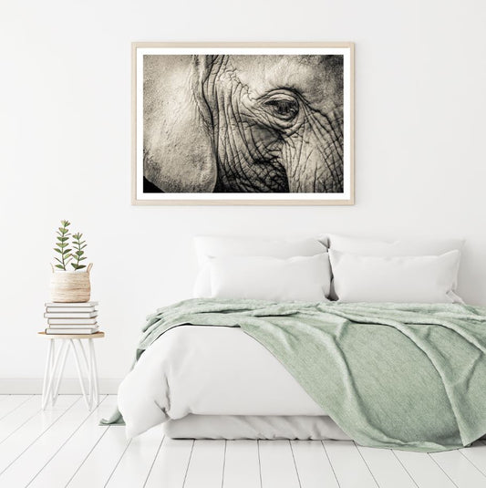 Elephant Eye Closeup Photograph Home Decor Premium Quality Poster Print Choose Your Sizes