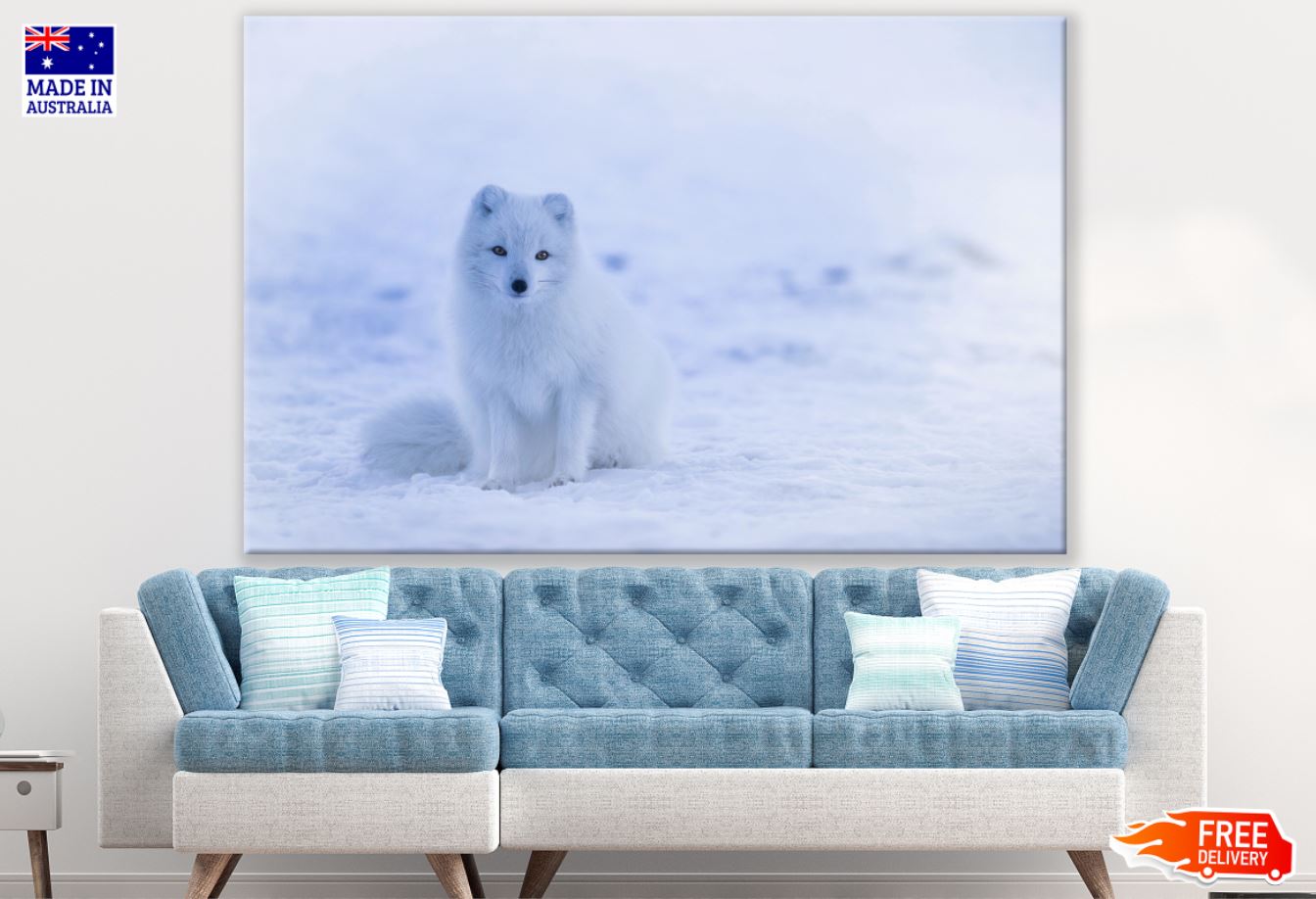 White Puppy on Snow Photograph Print 100% Australian Made