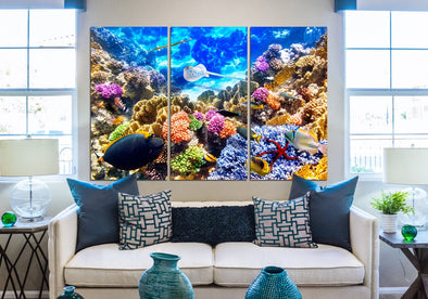 Sea Life High Quality print 100% Australian made wall Canvas ready to hang