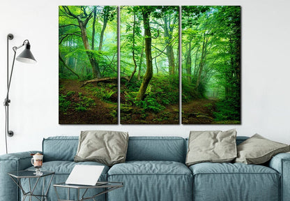 Green Forest Stunning print 100% Australian made wall Canvas ready to hang