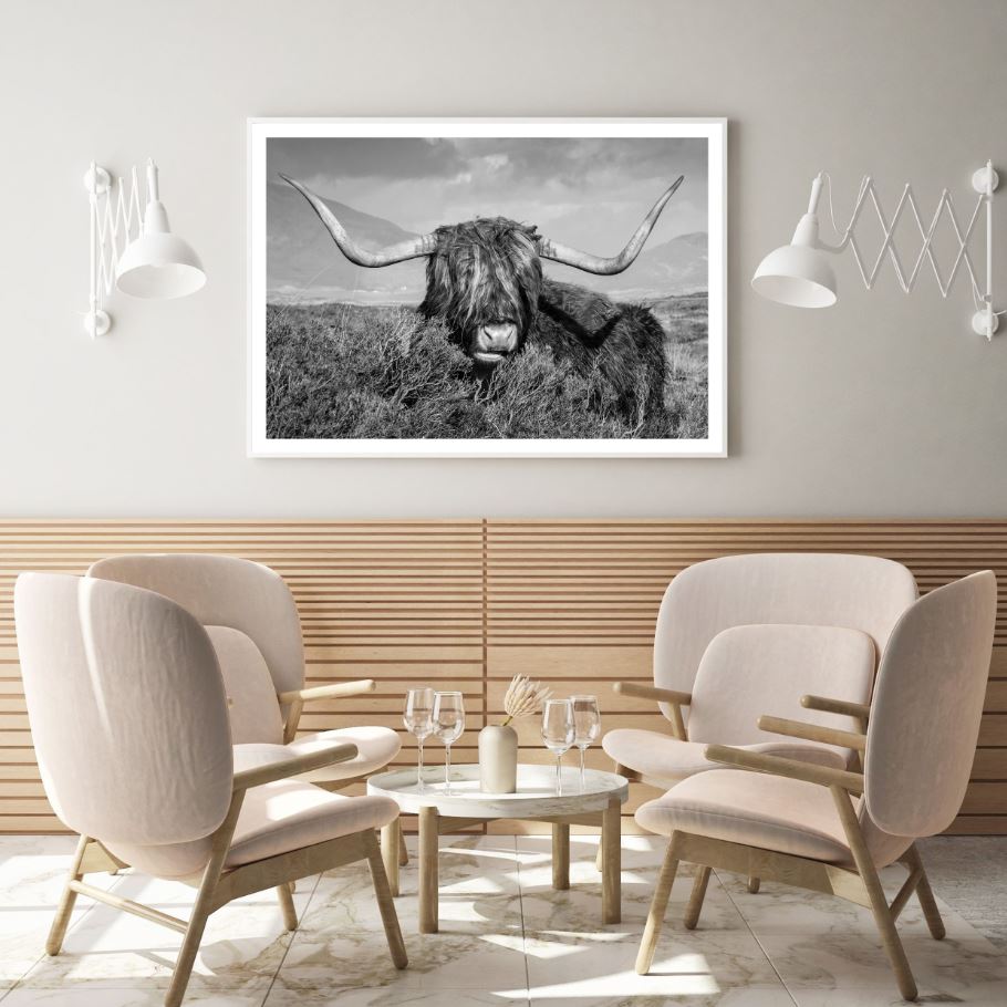 Highland Cow B&W Photograph Home Decor Premium Quality Poster Print Choose Your Sizes