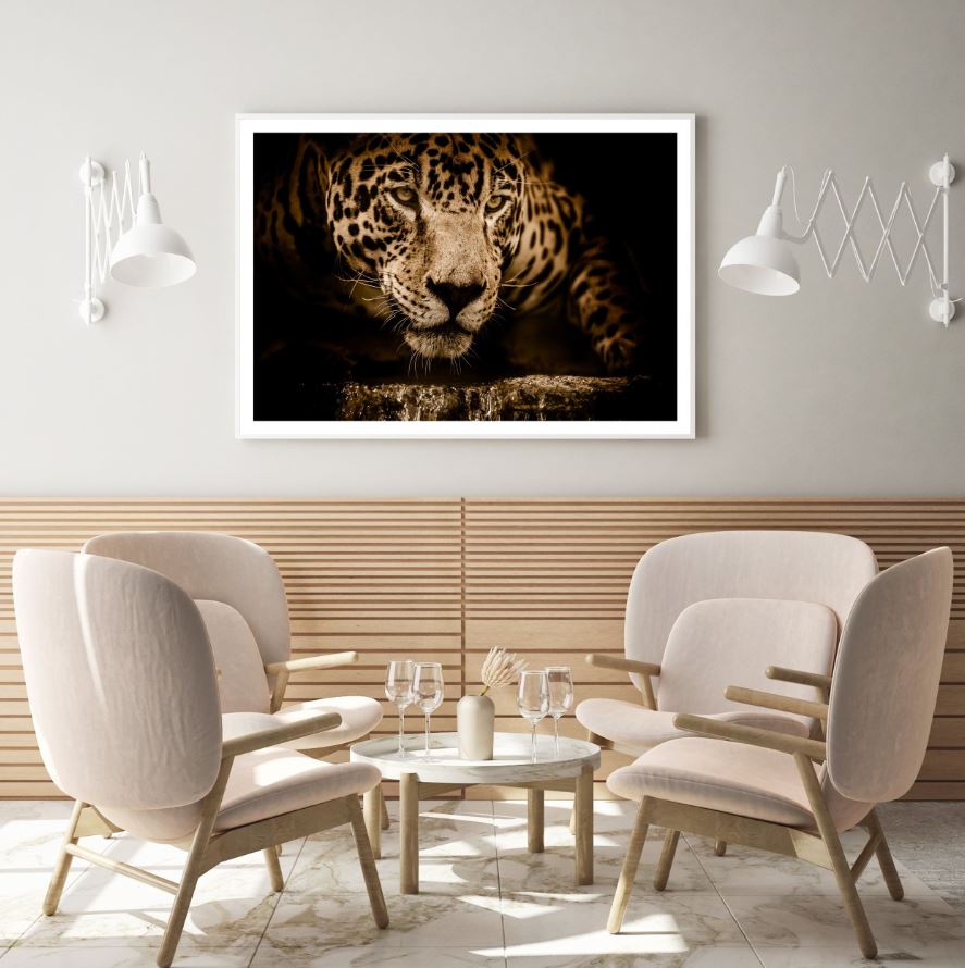 Leopard Portrait Photograph Home Decor Premium Quality Poster Print Choose Your Sizes