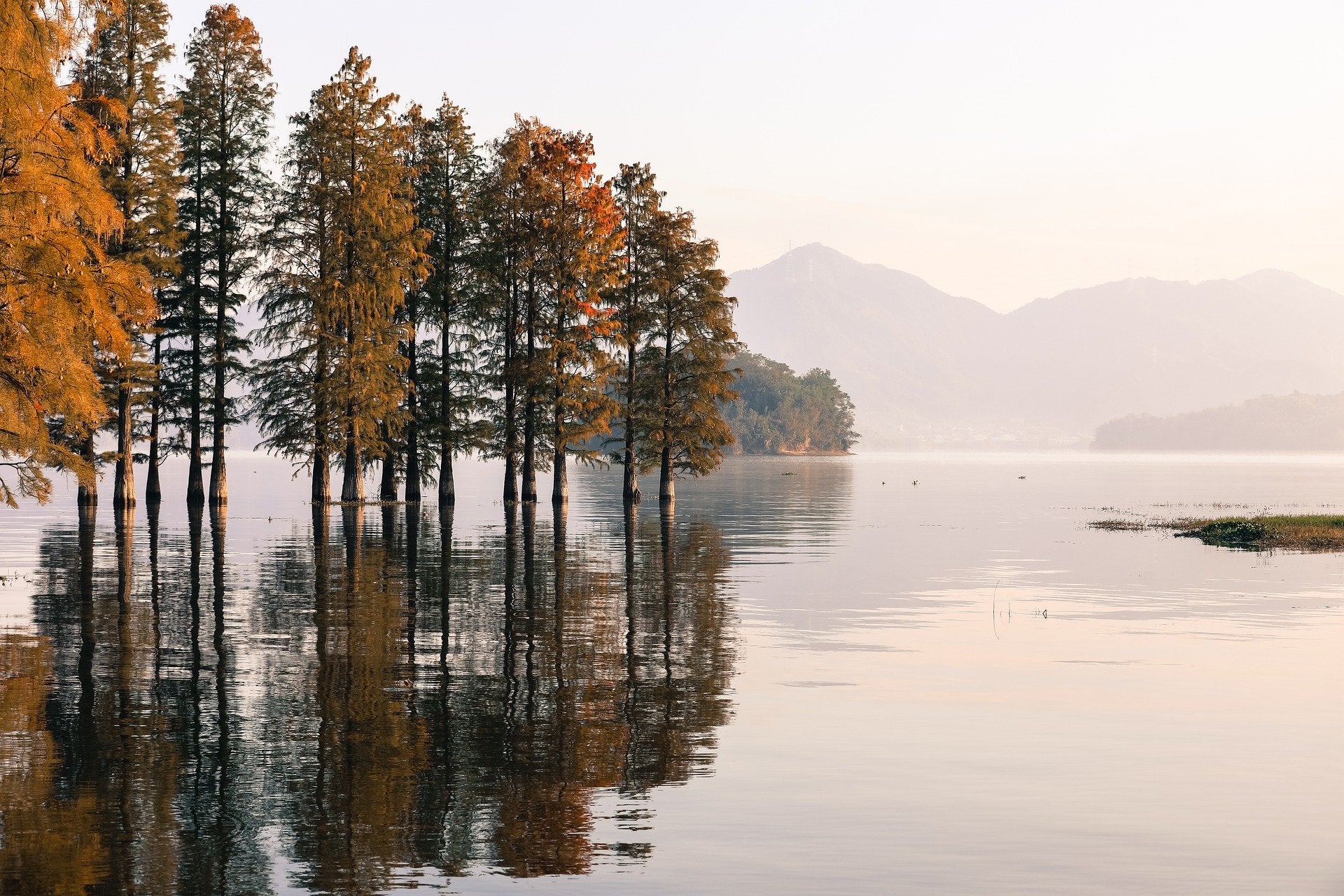 Stunning View of Trees in Lake with Mountains Photograph Print 100% Australian Made