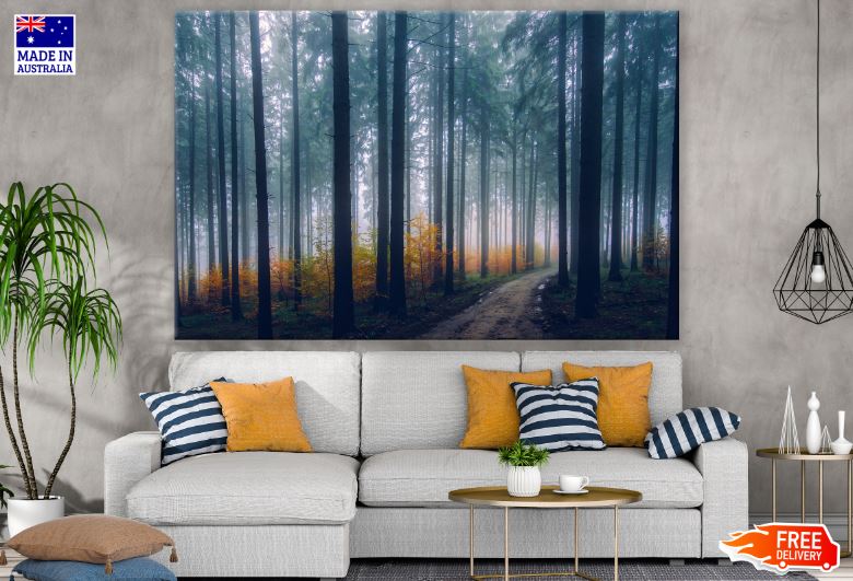 Misty Autumn Forest Photograph Print 100% Australian Made