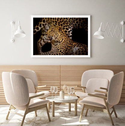 Leopard Portrait Closeup View Home Decor Premium Quality Poster Print Choose Your Sizes