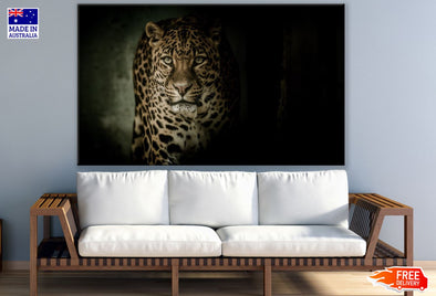 Leopard Portrait Closeup View Print 100% Australian Made