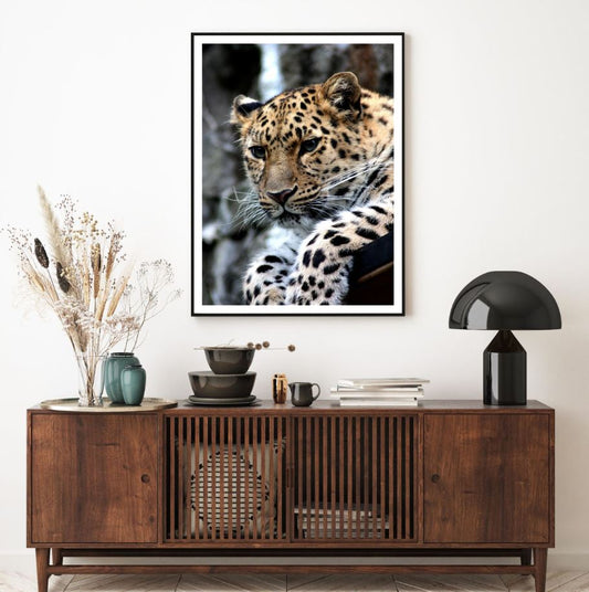 Leopard Closeup Photograph Home Decor Premium Quality Poster Print Choose Your Sizes