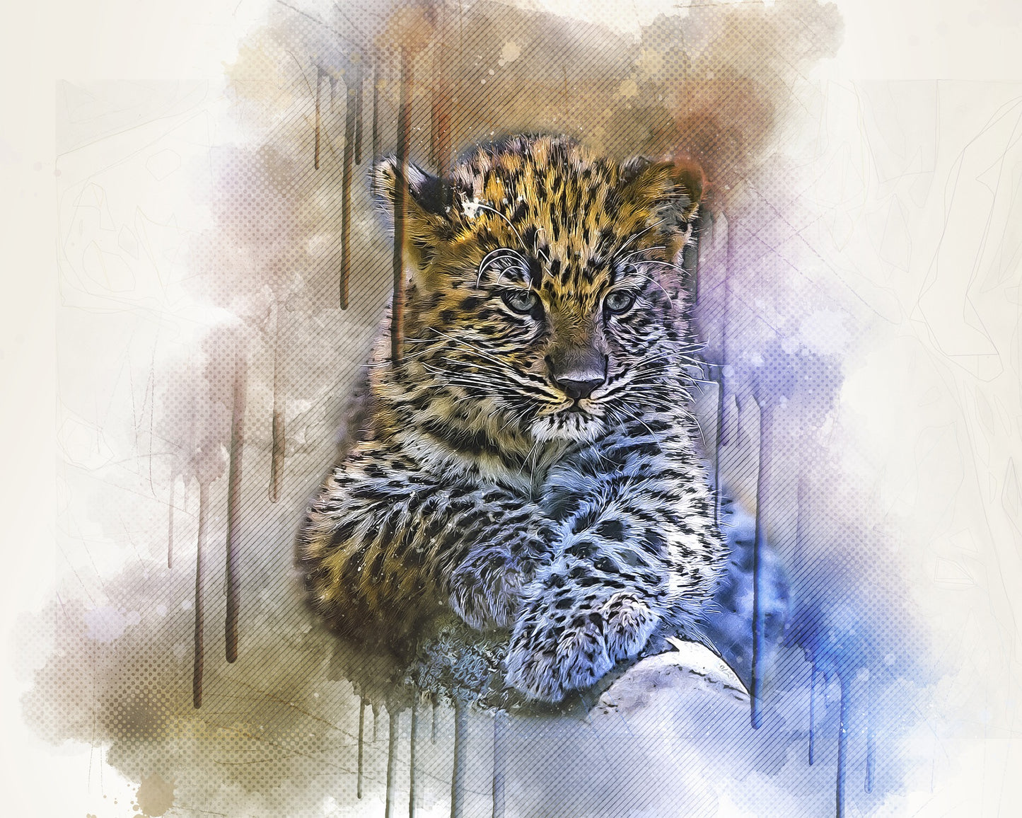 Leopard Cub Portrait Illustration Print 100% Australian Made