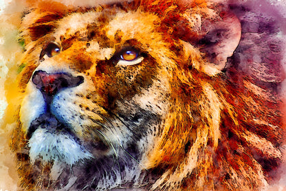 Colourful Lion Portrait Painting Print 100% Australian Made