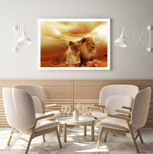 Lion & Lioness Sunset Photograph Home Decor Premium Quality Poster Print Choose Your Sizes