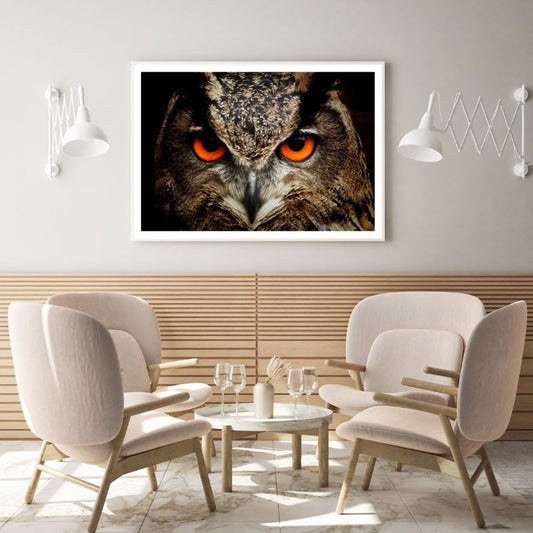 Owl Portrait Closeup Photograph Home Decor Premium Quality Poster Print Choose Your Sizes