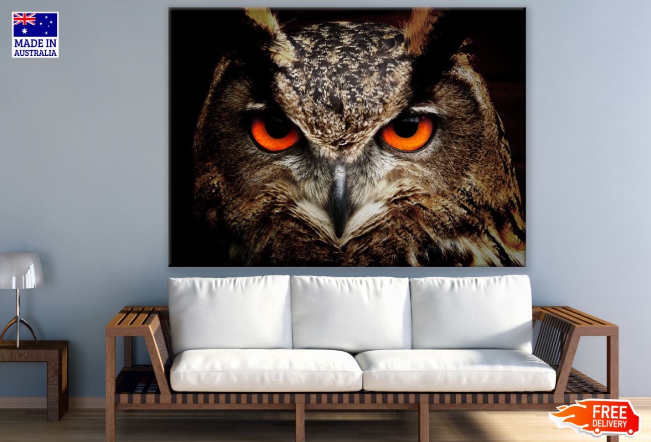 Owl Face Portrait Photograph Print 100% Australian Made