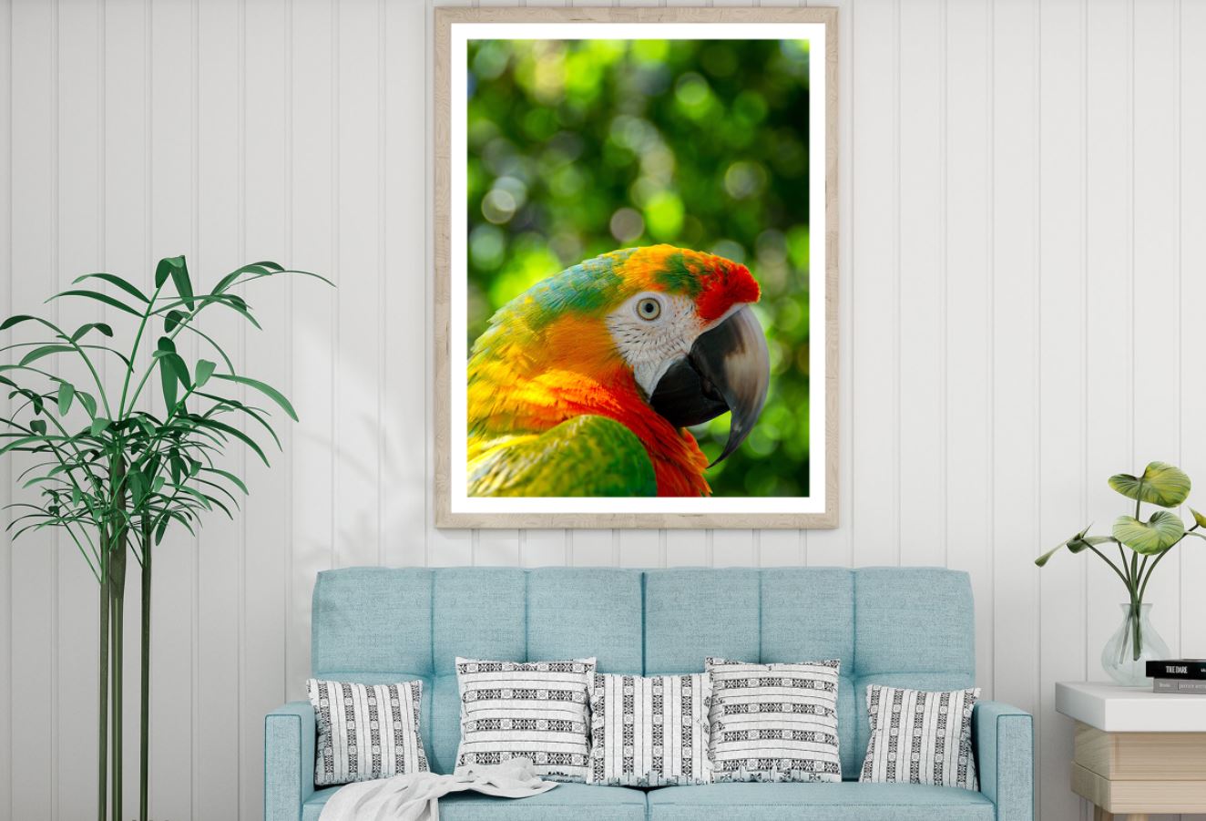 Parrot Portrait Photograph Home Decor Premium Quality Poster Print Choose Your Sizes