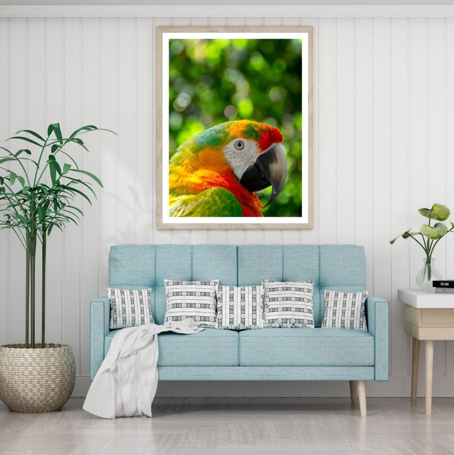 Parrot Portrait Photograph Home Decor Premium Quality Poster Print Choose Your Sizes