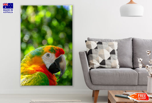 Parrot Portrait Photograph Print 100% Australian Made