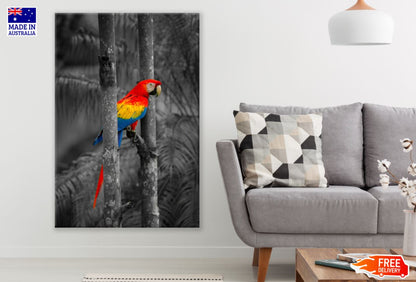 Colorful Parrot in B&W Forest Print 100% Australian Made