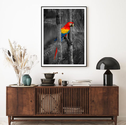 Colorful Parrot in B&W Forest Home Decor Premium Quality Poster Print Choose Your Sizes